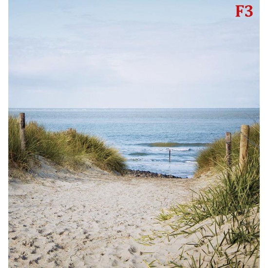 Wallpapers mural seascape with dunes and path Wallpapers mural seascape with dunes and path