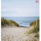 Wallpapers mural seascape with dunes and path Wallpapers mural seascape with dunes and path