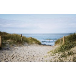 Wallpapers mural seascape with dunes and path
