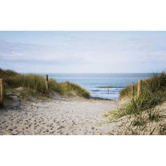 Wallpapers mural seascape with dunes and path Wallpapers mural seascape with dunes and path