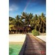 Wallpapers mural sea path with palms and rainbow Wallpapers mural sea path with palms and rainbow