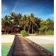 Wallpapers mural sea path with palms and rainbow Wallpapers mural sea path with palms and rainbow