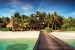 Wallpapers mural sea path with palms and rainbow