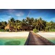 Wallpapers mural sea path with palms and rainbow Wallpapers mural sea path with palms and rainbow