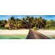 Wallpapers mural sea path with palms and rainbow Wallpapers mural sea path with palms and rainbow