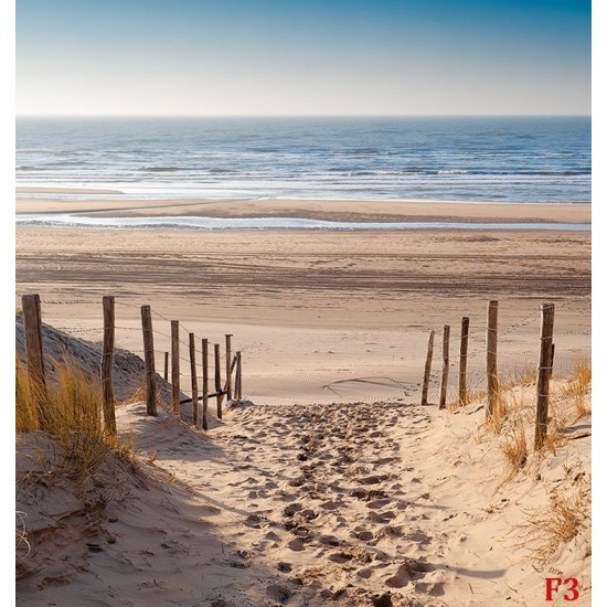 Photo Wallpapers sunny sea dunes path pattern 2