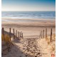 Photo Wallpapers sunny sea dunes path pattern 2