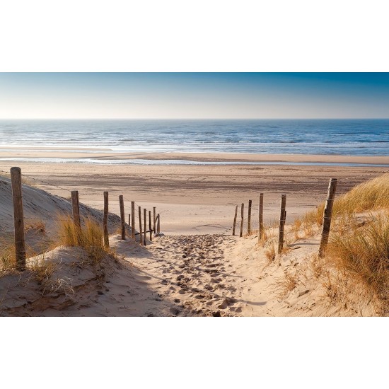 Photo Wallpapers sunny sea dunes path pattern 2