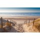 Photo Wallpapers sunny sea dunes path pattern 2