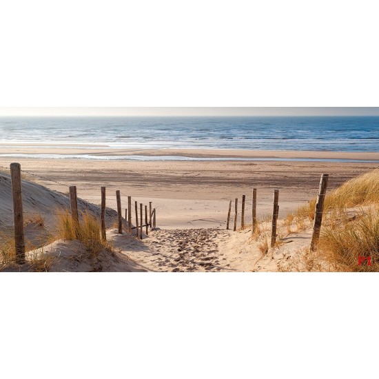 Photo Wallpapers sunny sea dunes path pattern 2