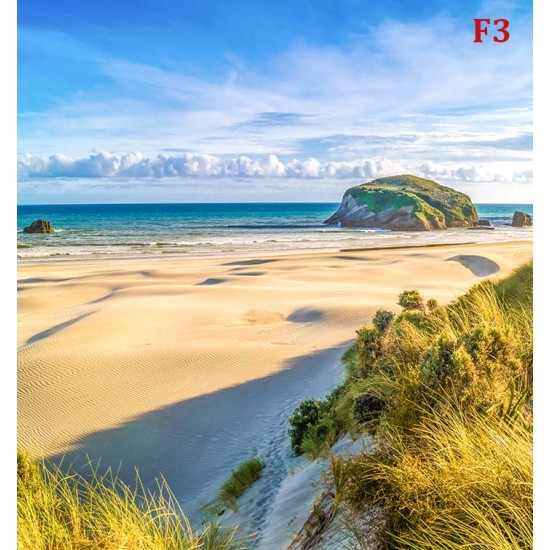 Photo mural seascape sunny sand dunes sea