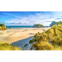 Photo mural seascape sunny sand dunes sea