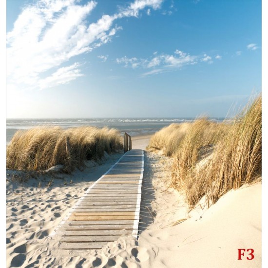 Wallpapers mural sea path in between dunes Wallpapers mural sea path in between dunes