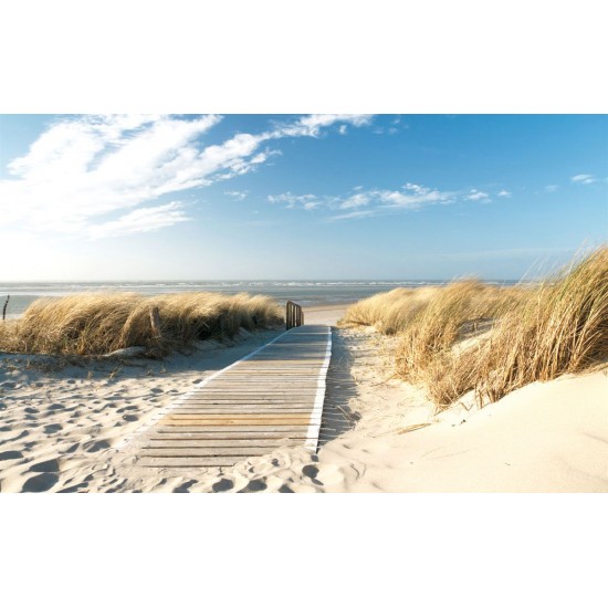 Wallpapers mural sea path in between dunes Wallpapers mural sea path in between dunes