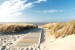Wallpapers mural sea path in between dunes