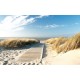 Wallpapers mural sea path in between dunes Wallpapers mural sea path in between dunes