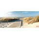 Wallpapers mural sea path in between dunes Wallpapers mural sea path in between dunes