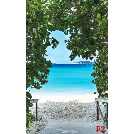 Wallpapers mural a path on seashore with trees Wallpapers mural a path on seashore with trees
