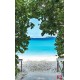 Wallpapers mural a path on seashore with trees Wallpapers mural a path on seashore with trees