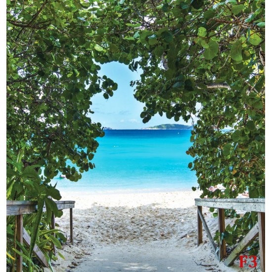 Wallpapers mural a path on seashore with trees Wallpapers mural a path on seashore with trees