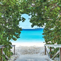 Wallpapers mural a path on seashore with trees