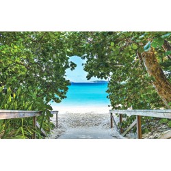 Wallpapers mural a path on seashore with trees