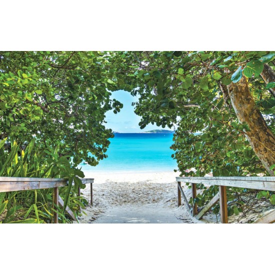 Wallpapers mural a path on seashore with trees Wallpapers mural a path on seashore with trees