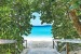 Wallpapers mural a path on seashore with trees
