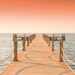 Wallpapers mural bridge in orange gamut