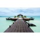 Wallpapers mural sea romance, palms with a bridge Wallpapers mural sea romance, palms with a bridge
