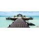 Wallpapers mural sea romance, palms with a bridge Wallpapers mural sea romance, palms with a bridge
