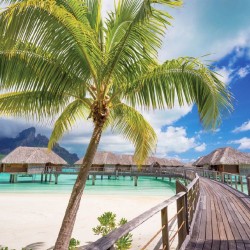 Wallpapers mural bridge overlooking tropical sea
