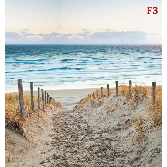 Photo mural path dunes beach at sunset Photo mural path dunes beach at sunset