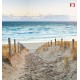 Photo mural path dunes beach at sunset Photo mural path dunes beach at sunset