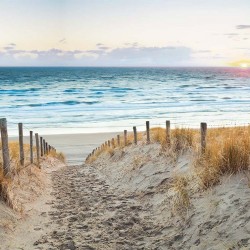 Photo mural path dunes beach at sunset