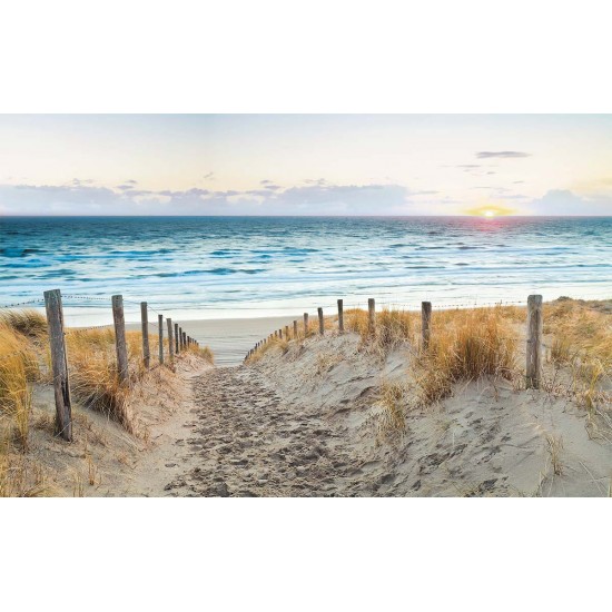 Photo mural path dunes beach at sunset Photo mural path dunes beach at sunset