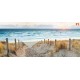 Photo mural path dunes beach at sunset Photo mural path dunes beach at sunset