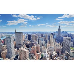 Wallpapers mural panoramic daily view of New York