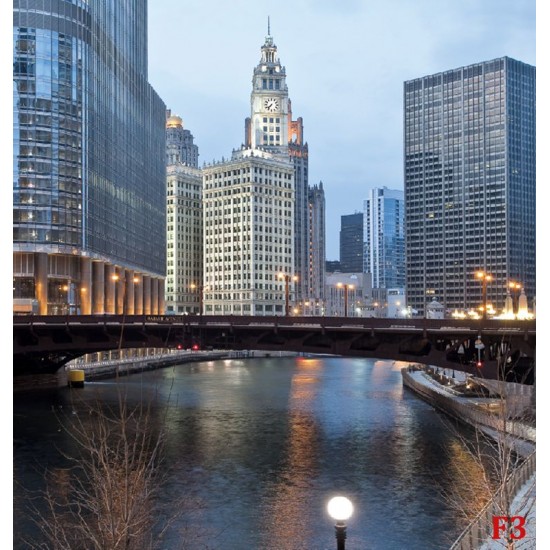 Wallpapers mural panoramic daily view of Chicago and river