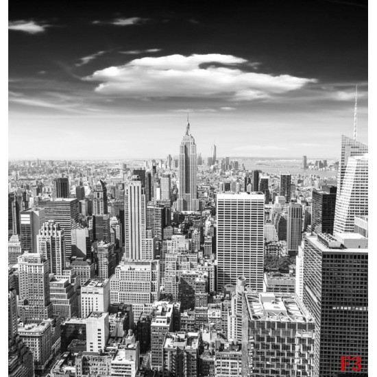 Wall murals Manhattan tower view in gray