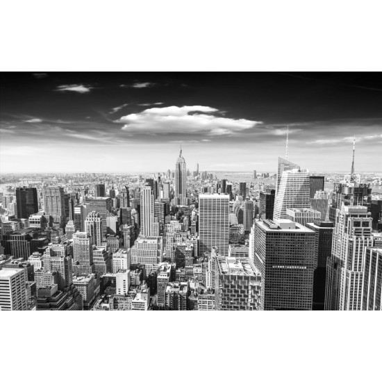 Wall murals Manhattan tower view in gray