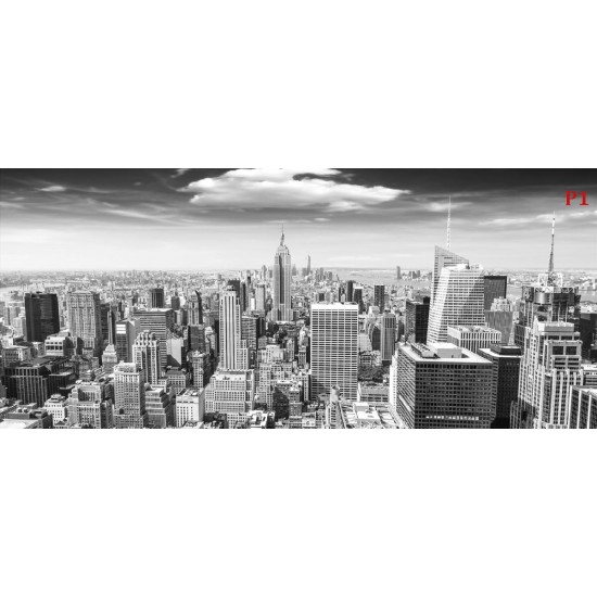 Wall murals Manhattan tower view in gray