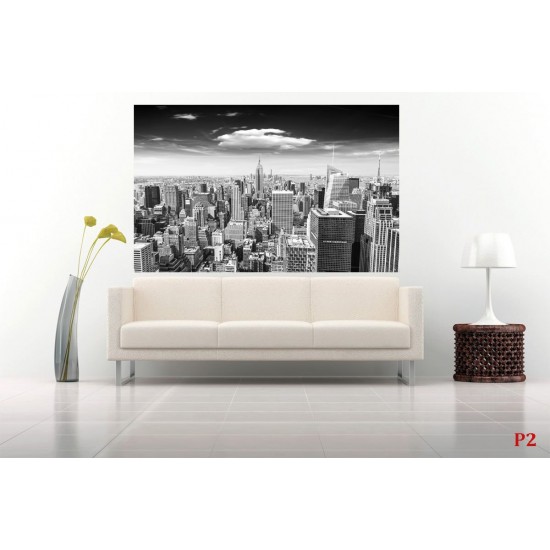 Wall murals Manhattan tower view in gray