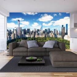 Wallpapers mural view of  New York Central Park