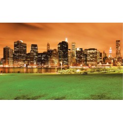 Photo mural night view of Manhattan New York from the park