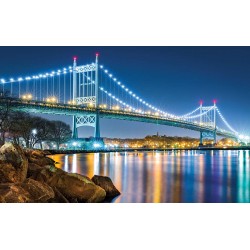 Photo mural Illuminated night view of the bridge Kennedy New York 2 col.