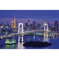 Wallpapers beautiful night view of a bridge in Tokyo