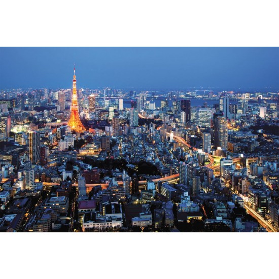 Wallpapers mural Tokyo night view