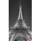 Wall murals highlighted Eiffel tower in grey Wall murals highlighted Eiffel tower in grey