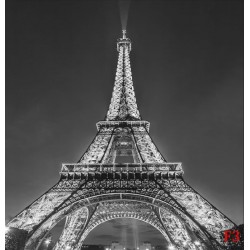 Wall murals highlighted Eiffel tower in grey